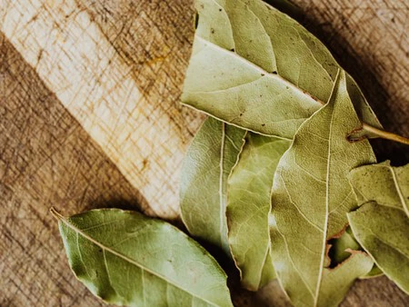 Hojas De Laurel