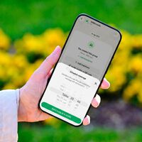 WhatsApp permitirá programar mensajes