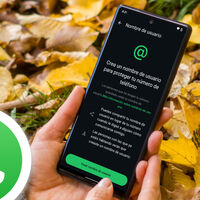 Puedes perder tu nombre en WhatsApp si no te das prisa: los mejores están desapareciendo