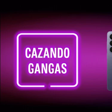 Cazando Gangas