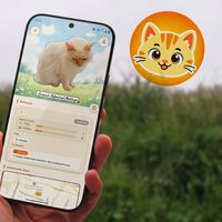 CatchCat es el juego definitivo para todo Karen que se precie: un Pokémon GO donde capturas gatitos haciéndoles una foto