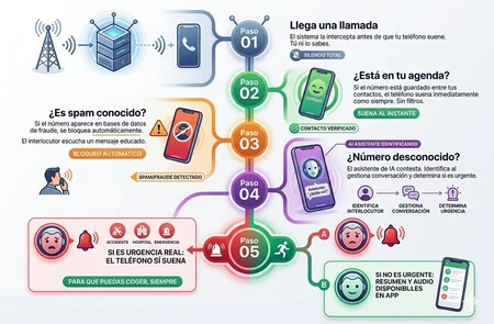 Infografia Sona