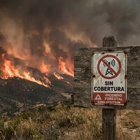 Starlink ofrece gratis su conectividad ante los problemas de comunicación en las zonas afectadas por los incendios 